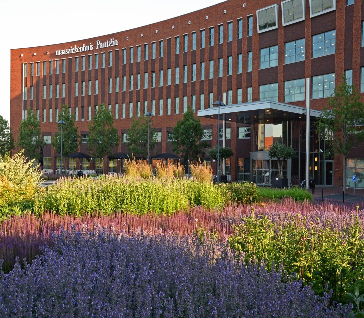 Maasziekenhuis en voortuin Maasziekenhuis en voortuin